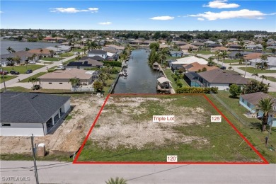 Lake Lot Sale Pending in Cape Coral, Florida