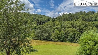 (private lake, pond, coastal) Lot For Sale in Jefferson North Carolina