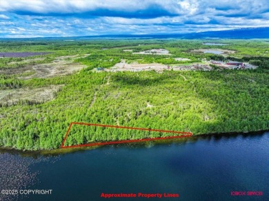 Lake Lot For Sale in Houston, Alaska
