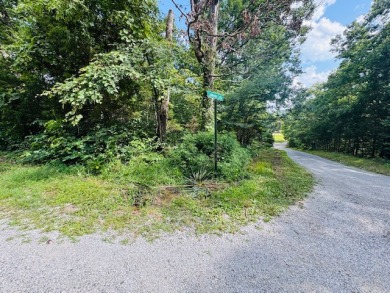Lake Lot For Sale in Clarkson, Kentucky