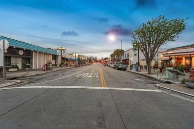 Japantown living at its finest! This first level, open-concept - photo 36