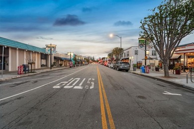 Japantown living at its finest! This first level, open-concept - photo 37
