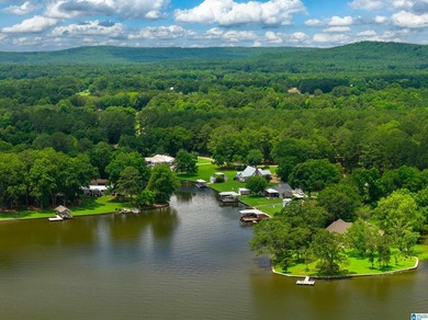 WATERFRONT - A rare find on the Shelby County side of Lay Lake! - photo 3