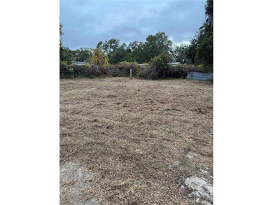 Tsala Apopka Chain of Lakes Lot Sale Pending in Floral City Florida