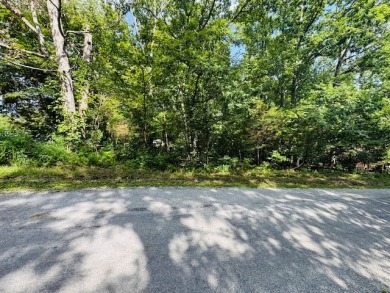 Nice Lot In Nolin Lake Estates - Lake Lot For Sale in Clarkson, Kentucky