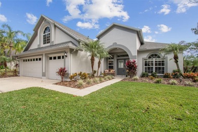 (private lake, pond, coastal) Home For Sale in Tampa Florida