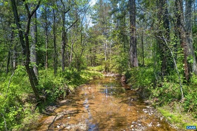 Here is a singularly exceptional sanctuary of rare scale and - photo 15