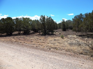 Lake Lot For Sale in Show Low, Arizona