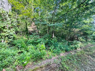 Nolin Lake Lot For Sale in Clarkson Kentucky