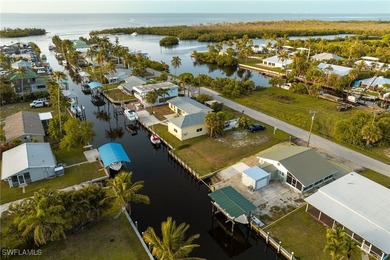 Turn-Key Pine Island Fishing Cabin with Private Dock, Lift & - photo 31