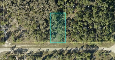 Lehigh Acres Area Lot For Sale in Lehigh Acres Florida