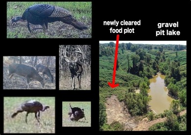 (private lake, pond, creek) Acreage For Sale in  Mississippi