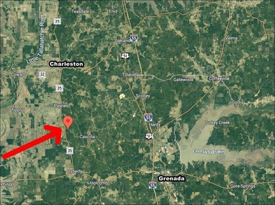 Welcome to the Tallahatchie 205! Located south of Charleston - photo 5