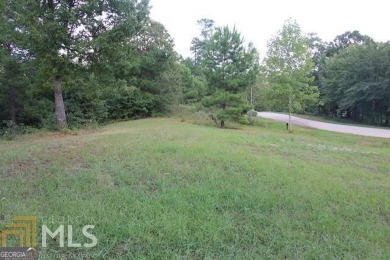 Lake Lot For Sale in Toccoa, Georgia