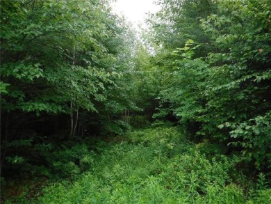 Clearwater Pond Acreage For Sale in Industry Maine