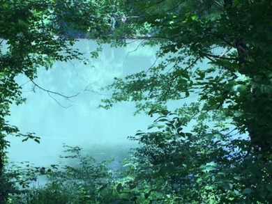 Build your cabin right on the mighty Cumberland River. Two 0 - photo 2