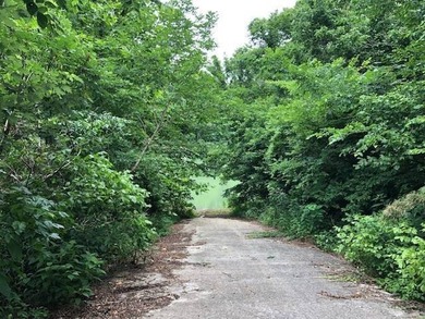Build your cabin right on the mighty Cumberland River. Two 0 - photo 3