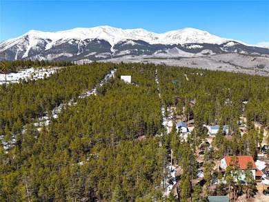 Twin Lakes Reservoir Lot For Sale in Leadville Colorado