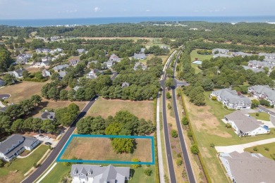 Limited Lots Left in the Signature Village! This nearly acre - photo 3