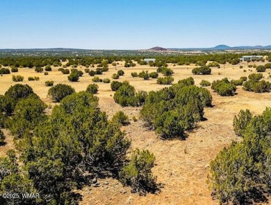 Lake Lot For Sale in Show Low, Arizona