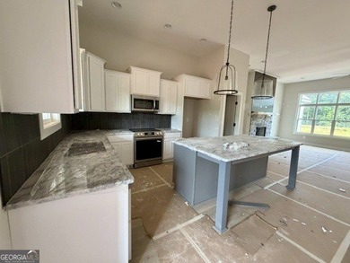 This Maple Creek Plan is situated on 2 Acres and offers - photo 8