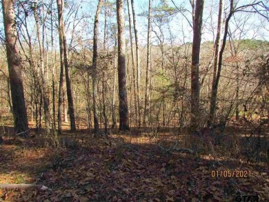 Lake Acreage For Sale in Frankston, Texas