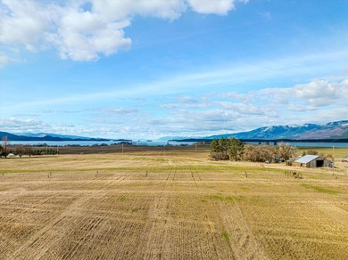 PRIME 167-ACRE DEVELOPMENT OPPORTUNITY! Located within city - photo 11