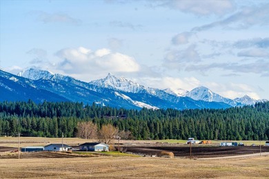 PRIME 167-ACRE DEVELOPMENT OPPORTUNITY! Located within city - photo 12