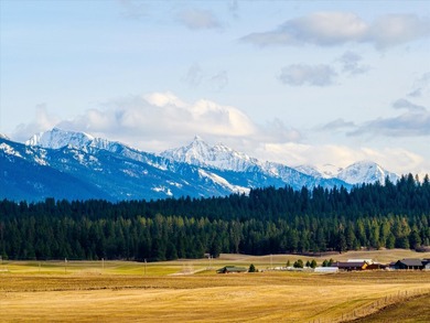 PRIME 167-ACRE DEVELOPMENT OPPORTUNITY! Located within city - photo 13