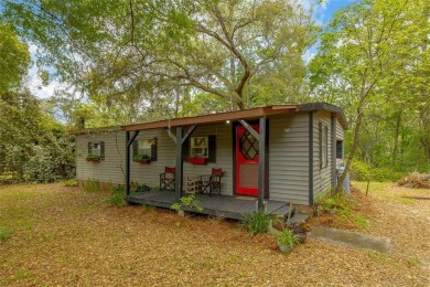 (private lake, pond, creek) Home For Sale in Hortense Georgia