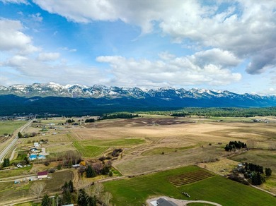 PRIME 167-ACRE DEVELOPMENT OPPORTUNITY! Located within city - photo 21
