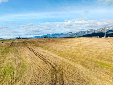PRIME 167-ACRE DEVELOPMENT OPPORTUNITY! Located within city - photo 23
