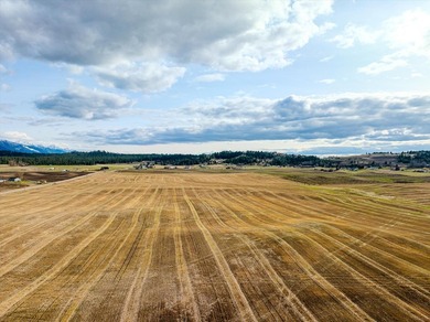 PRIME 167-ACRE DEVELOPMENT OPPORTUNITY! Located within city - photo 26