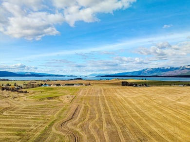 PRIME 167-ACRE DEVELOPMENT OPPORTUNITY! Located within city - photo 29