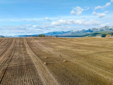 PRIME 167-ACRE DEVELOPMENT OPPORTUNITY! Located within city - photo 31