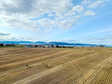 PRIME 167-ACRE DEVELOPMENT OPPORTUNITY! Located within city - photo 32
