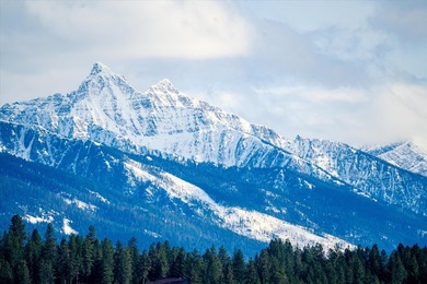 PRIME 167-ACRE DEVELOPMENT OPPORTUNITY! Located within city - photo 33