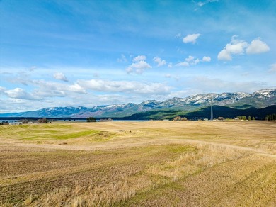 PRIME 167-ACRE DEVELOPMENT OPPORTUNITY! Located within city - photo 36
