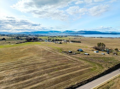 PRIME 167-ACRE DEVELOPMENT OPPORTUNITY! Located within city - photo 39