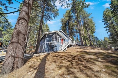33338 Wild Rose - photo 2