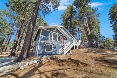 33338 Wild Rose - photo 3