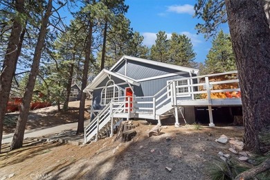 33338 Wild Rose - photo 4
