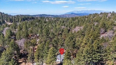 33338 Wild Rose - photo 5