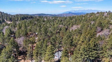 33338 Wild Rose - photo 6