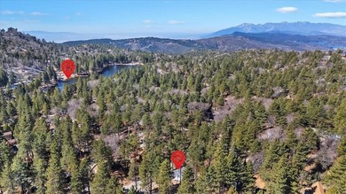 33338 Wild Rose - photo 7