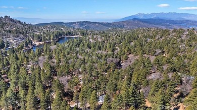 33338 Wild Rose - photo 8