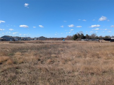 Cedar Creek Lake Lot For Sale in Mabank Texas