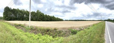 Lake Acreage Sale Pending in Manning, South Carolina