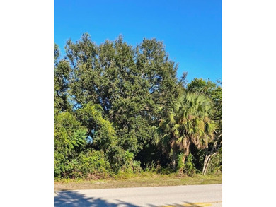 Port Charlotte Waterway Lakes Area Lot For Sale in Port Charlotte Florida