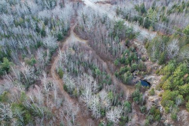19.3 acres located in Hancock, Maine. This centrally situated - photo 15